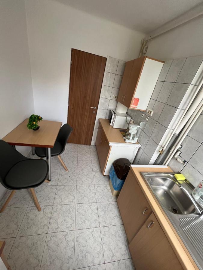 Apartment 2 camere Centru Piata 700 Timişoara Exterior foto